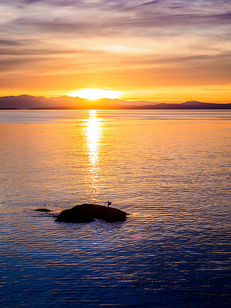 Sunset at the breakwater in  Victoria BC, Canada